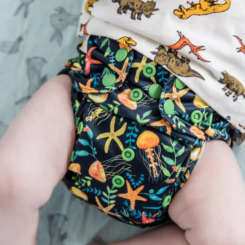 Monarch Store The Classic Nappy 2.0 All in Two | Pocket